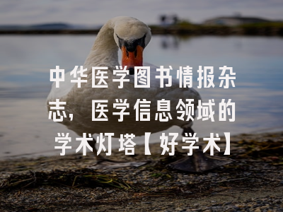 中华医学图书情报杂志，医学信息领域的学术灯塔【好学术】