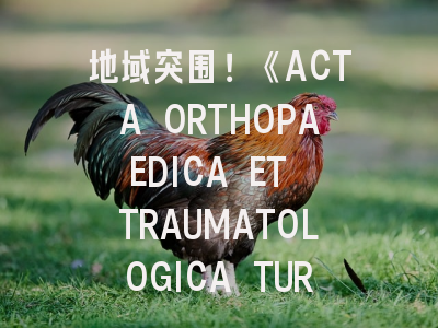 地域突围！《ACTA ORTHOPAEDICA ET TRAUMATOLOGICA TURCICA》投稿全攻略-附真实案例分析