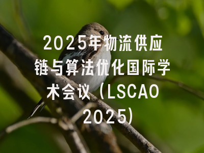 2025年物流供应链与算法优化国际学术会议（LSCAO 2025）