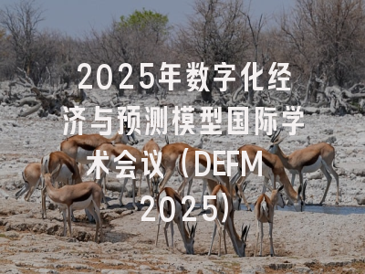 2025年数字化经济与预测模型国际学术会议（DEFM 2025）
