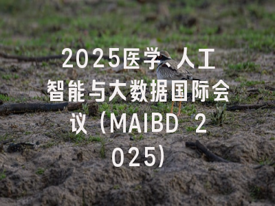 2025医学、人工智能与大数据国际会议（MAIBD 2025）