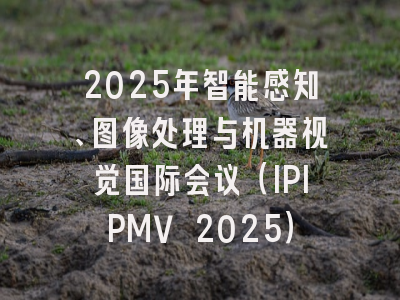 2025年智能感知、图像处理与机器视觉国际会议（IPIPMV 2025）
