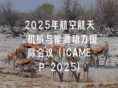 2025年航空航天、机械与能源动力国际会议（ICAMEP 2025）