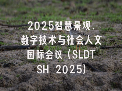 2025智慧景观、数字技术与社会人文国际会议（SLDTSH 2025）