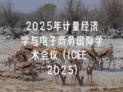 2025年计量经济学与电子商务国际学术会议（ICEE 2025）