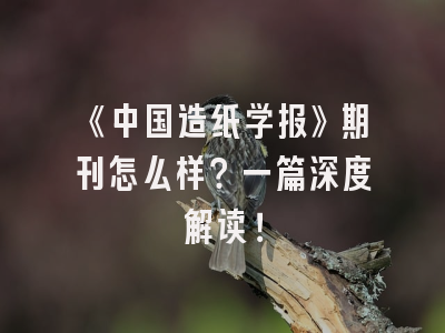 《中国造纸学报》期刊怎么样？一篇深度解读！