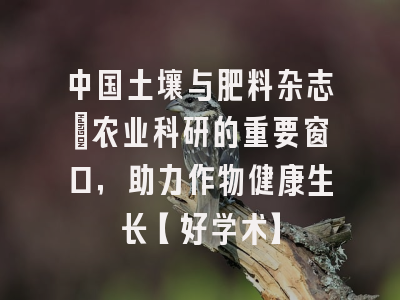 中国土壤与肥料杂志：农业科研的重要窗口，助力作物健康生长【好学术】