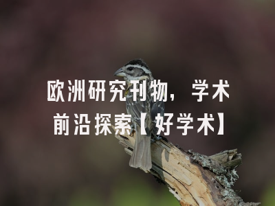 欧洲研究刊物，学术前沿探索【好学术】
