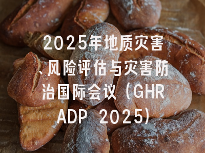 2025年地质灾害、风险评估与灾害防治国际会议（GHRADP 2025）