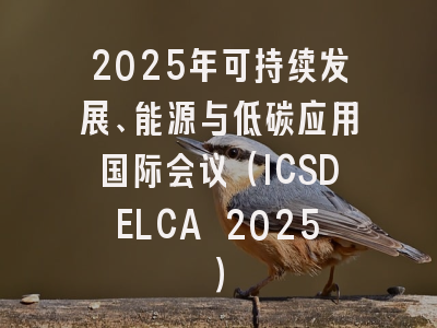 2025年可持续发展、能源与低碳应用国际会议（ICSDELCA 2025）
