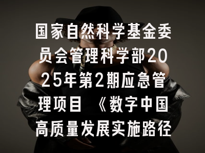 国家自然科学基金委员会管理科学部2025年第2期应急管理项目 《数字中国高质量发展实施路径与政策协同研究》申请说明