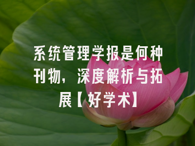 系统管理学报是何种刊物，深度解析与拓展【好学术】
