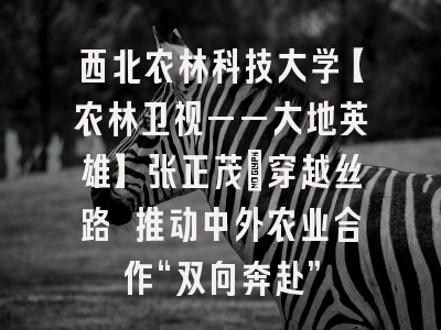 西北农林科技大学【农林卫视——大地英雄】张正茂：穿越丝路 推动中外农业合作“双向奔赴”