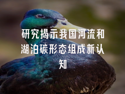 研究揭示我国河流和湖泊碳形态组成新认知