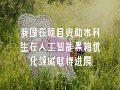 我国获项目资助本科生在人工智能黑箱优化领域取得进展