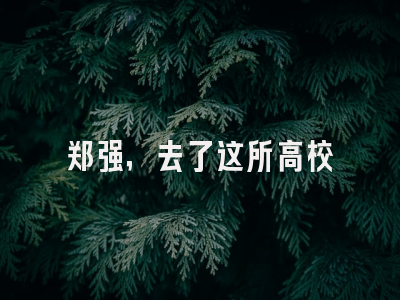 郑强，去了这所高校