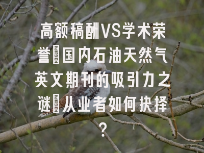 高额稿酬VS学术荣誉：国内石油天然气英文期刊的吸引力之谜_从业者如何抉择？