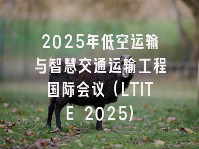2025年低空运输与智慧交通运输工程国际会议（LTITE 2025）