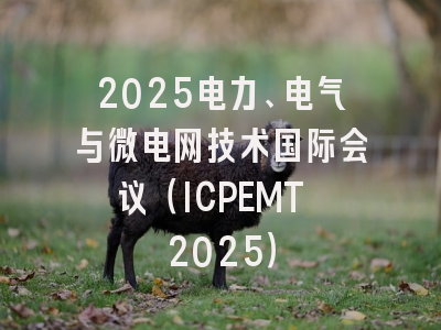 2025电力、电气与微电网技术国际会议（ICPEMT 2025）