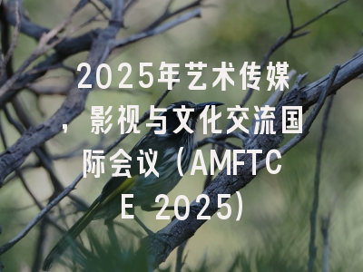 2025年艺术传媒，影视与文化交流国际会议（AMFTCE 2025）
