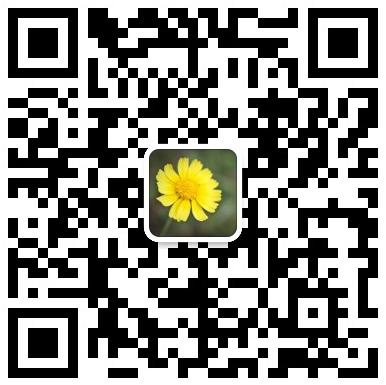 第五届教育、信息管理与服务科学国际学术会议（EIMSS 2025）