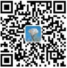 第二届图像处理、机器学习与模式识别国际学术会议（IPMLP 2025)