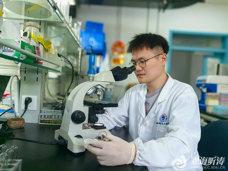 中国海洋大学在硅藻细胞内神经毒素β-N-甲氨基-L-丙氨酸的生物合成机制领域取得最新进展