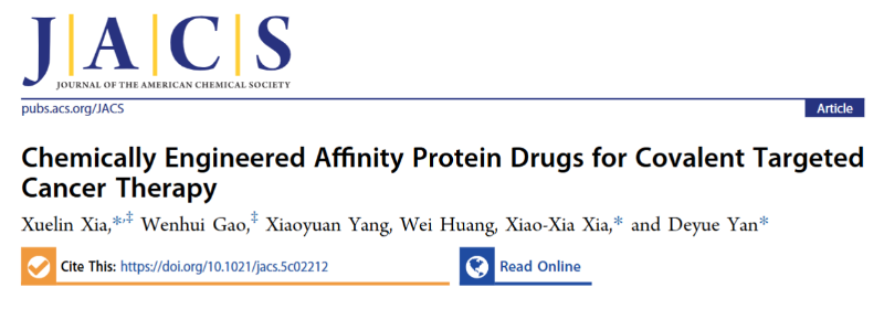上海交大颜德岳院士课题组发表研究成果，有望加速蛋白质治疗在各种疾病中的应用