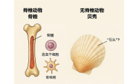 学术会议在线