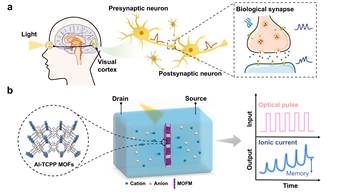 北京师范大学化学学院毛兰群、蒋亚楠课题组：在光调控纳流体离子晶体管模拟神经形态功能方面取得新的进展