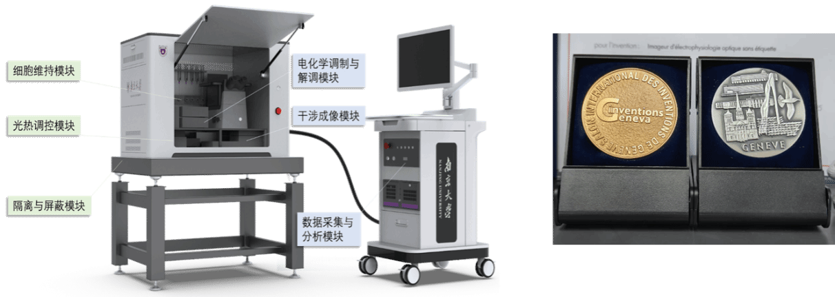 南京大学南京大学康斌/徐静娟等提出高通量免标记神经成像技术
