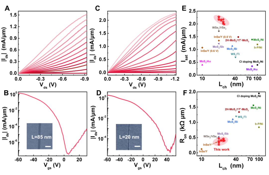 湖南大学Science发文!化工院段曦东教授团队突破传统电介质击穿对静电掺杂的限制