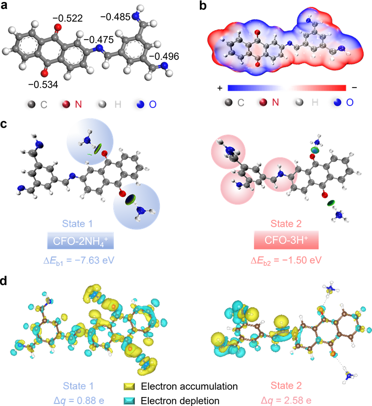 化学科学与工程学院刘明贤、甘礼华团队设计NH4+/H+共存储的高密度羰基/亚胺共轭纳米纤维用于锌-有机电池，研究成果发表于《材料视野》