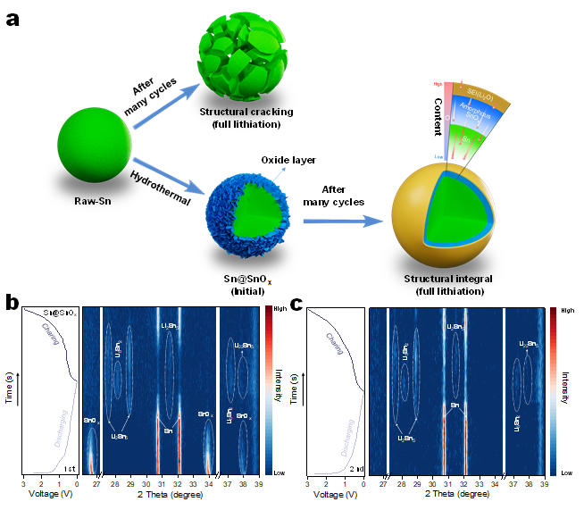 东南大学科研团队在《Advanced Materials》上发表最新研究成果