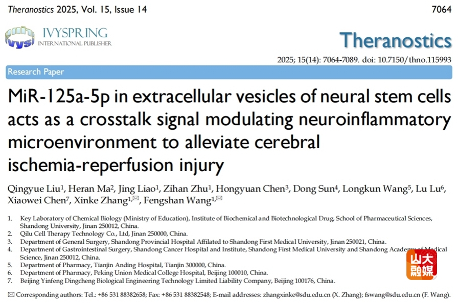 山东大学药学院生物药物与糖药物团队王凤山/张新科课题组揭示miR-125a-5p在神经干细胞细胞外囊泡中调节脑缺血再灌注损伤的机制