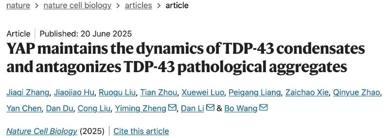 上海交大李丹课题组与合作者发现渐冻人症致病蛋白TDP-43相分离相变调控的新机制
