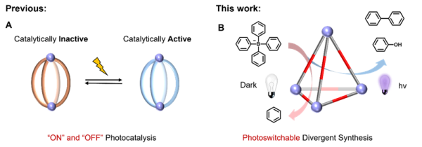 分子笼光控催化发散合成取得进展