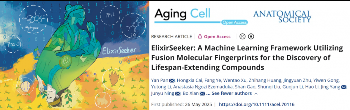 电子科技大学医学院本科生在知名期刊Aging Cell发表最新研究论文