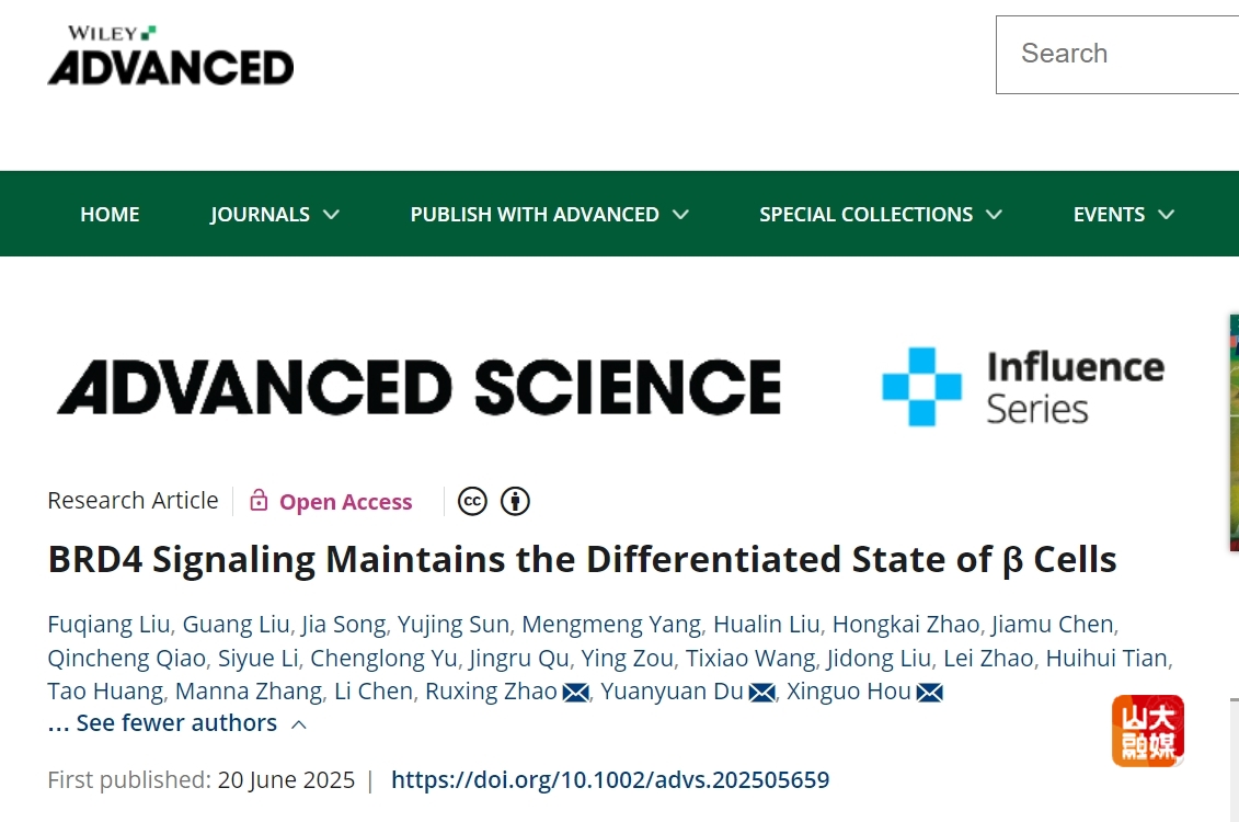 山东大学齐鲁医院陈丽/侯新国教授团队在Advanced Science杂志发表BRD4调控胰岛β细胞分化最新成果