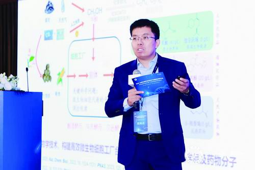 深耕近20年，他说“天坑”既能“入地”又可“上天”