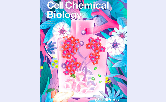 清华大学药学院尹航课题组合作报道O-糖基化修饰调控抗肿瘤免疫的全新机制