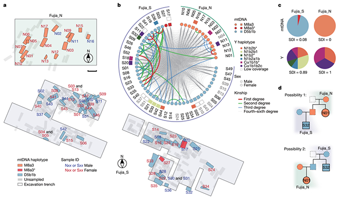 我国学者在中国史前母系社会组织研究领域取得进展