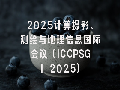 2025计算摄影、测绘与地理信息国际会议（ICCPSGI 2025）