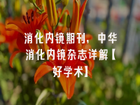 学术会议在线