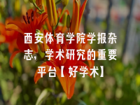 学术会议在线