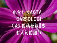 学术会议在线