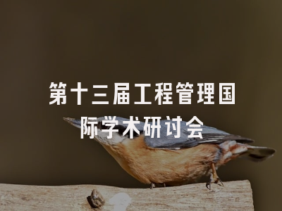第十三届工程管理国际学术研讨会