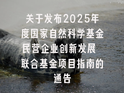 关于发布2025年度国家自然科学基金民营企业创新发展 联合基金项目指南的通告