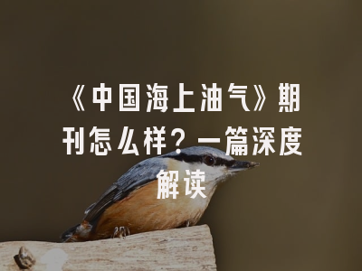 《中国海上油气》期刊怎么样？一篇深度解读