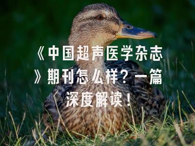 《中国超声医学杂志》期刊怎么样？一篇深度解读！
